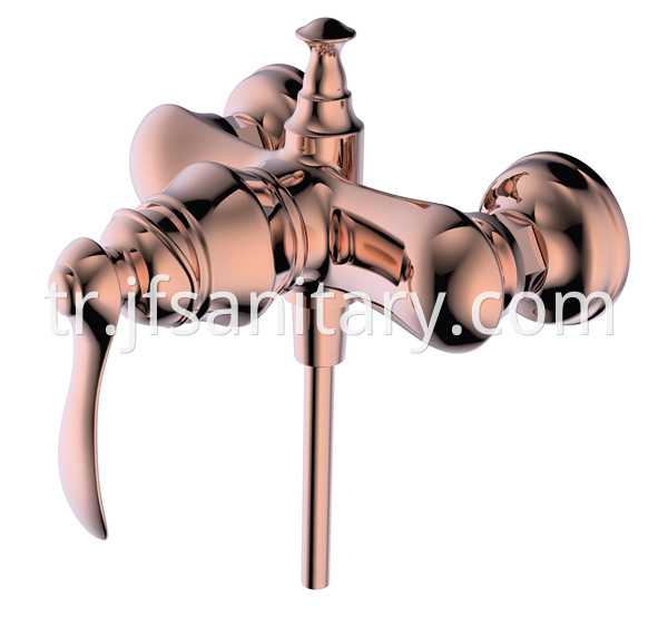 shower valve and handle